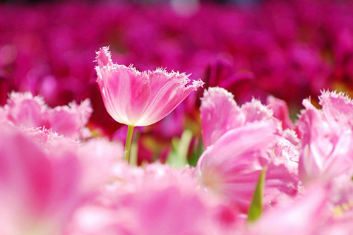 谢谢你陌生人适合跨年发的朋友圈26条